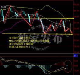 最新爆料油价走势图,最新动态与未来趋势分析