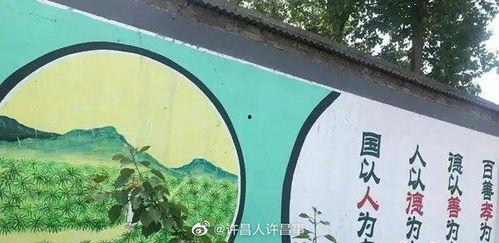 禹州市最新消息爆料新闻,揭秘神秘事件背后的真相