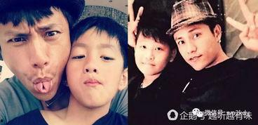 小李儿子爆料了吗视频全集  第2张